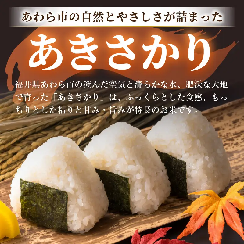 【令和7年産】あきさかり 精米 10kg × 1袋（計10kg） ／ 福井県産 ブランド米 ご飯 白米 お米 コメ 新鮮 [aw012-a043]