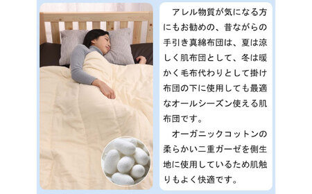 肌掛け布団 シングル[BACV008]肌掛け布団