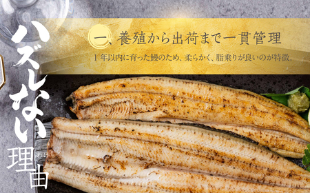 国産うなぎ 白焼き 2尾 計200g 中 うなぎ