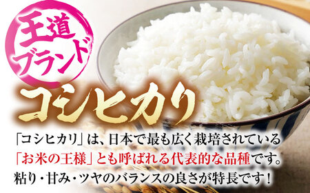 こしひかり あきろまん 10kg [APBM013]コシヒカリ セット