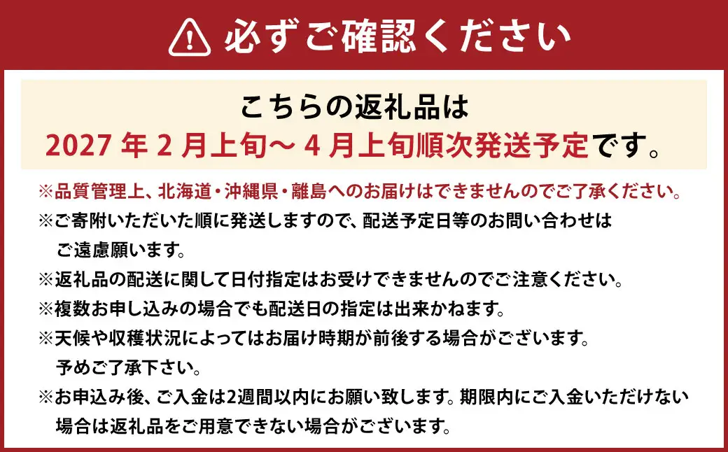 ティッシュボックス用 特別仕様の桐箱入り プレミアム あまおう 約400g×1パック あまおう いちご イチゴ 苺 果物 くだもの フルーツギフト お祝い 贈答用【2027年2月上旬～4月上旬発送予定】