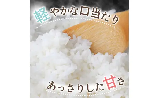 和歌山県産 キヌヒカリ 2kg（2026年産） / お米 きぬひかり 白米 由良町 令和8年 人気 おすすめ ※2026年9月上旬より順次発送予定【sml400-kinu-2A】