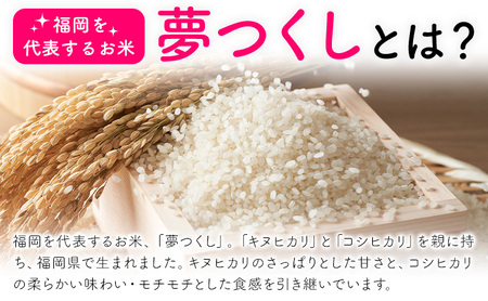 【3ヶ月定期便】夢つくし 令和7年産 米 10kg 白米《お申込み月の翌月から出荷開始》 福岡県 小竹町 お米 白米 国産