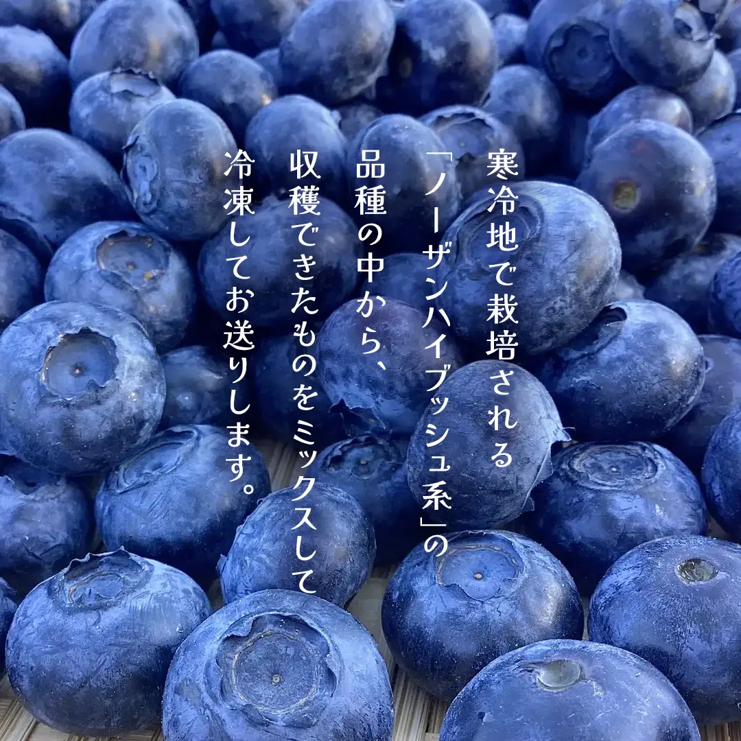 【 最短 7日以内 発送 】 冷凍ブルーベリー 大粒 1kg 数量限定 国産 フルーツ スムージー 果物 くだもの 農家直送 スイーツ アイス ノーザンハイブッシュ系 ミックス [AT015tu]