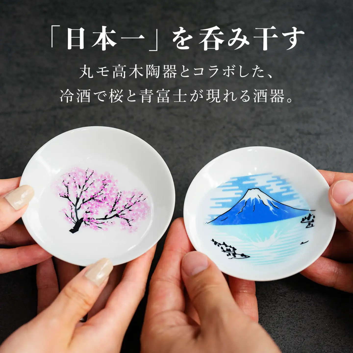 【美濃焼】 藤巻百貨店別注 桜と青富士の平盃 ペアセット 多治見市 / 株式会社caramo 藤巻百貨店(丸モ高木陶器） 盃 [TBB004]