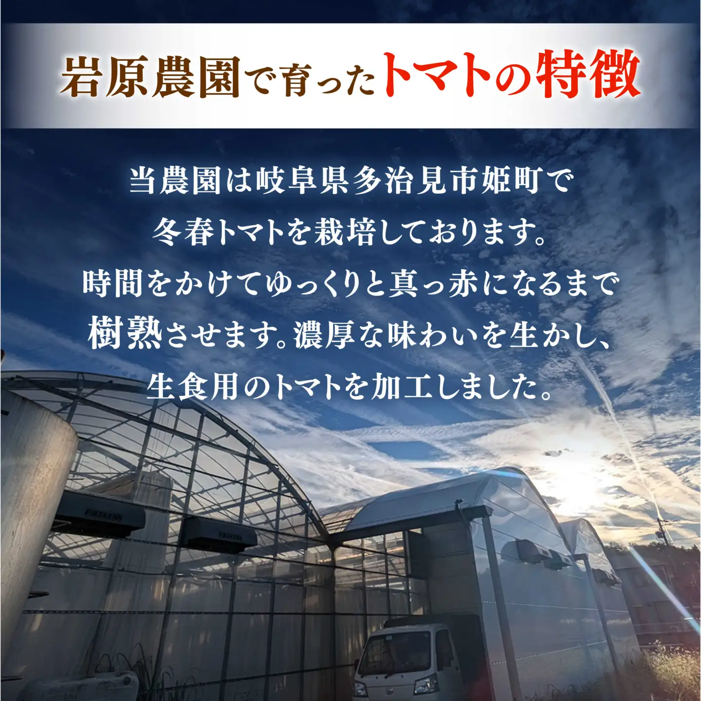 姫の100％完熟トマトジュース 180ml×12本 多治見市 / 岩原農園 トマト とまと トマトジュース 食塩砂糖不使用 無添加[TFP004]