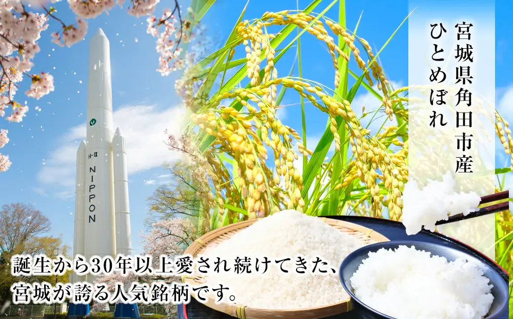 【9回定期便】宮城県産ひとめぼれ【無洗米】　5kg×1袋