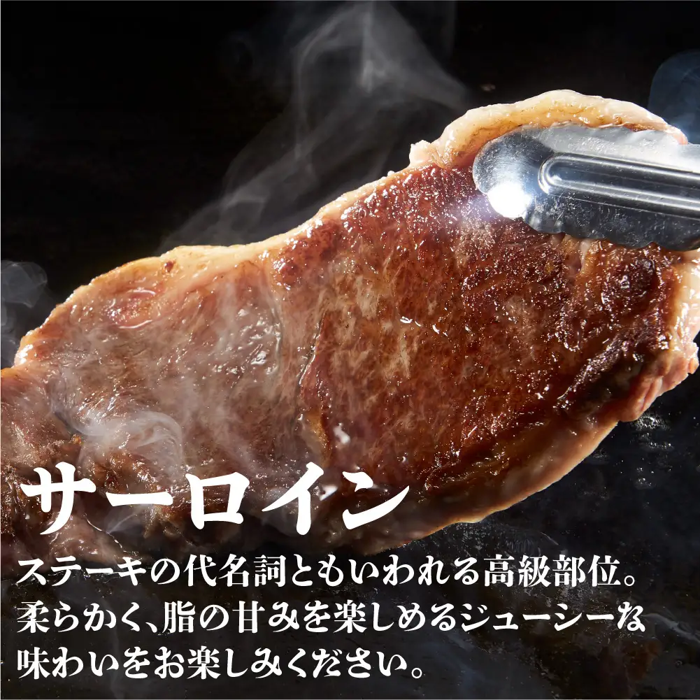 A5等級 飛騨牛 サーロインステーキ 200g×2枚 | ステーキ BV017