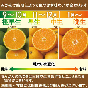 【2026年11月中旬頃から順次発送】温州みかん 約5kgえひめみかん 愛媛みかん 温州みかん ミカン 柑橘 蜜柑 フルーツ くだもの 果実 松山市 愛媛県 数量限定 【DRM004】