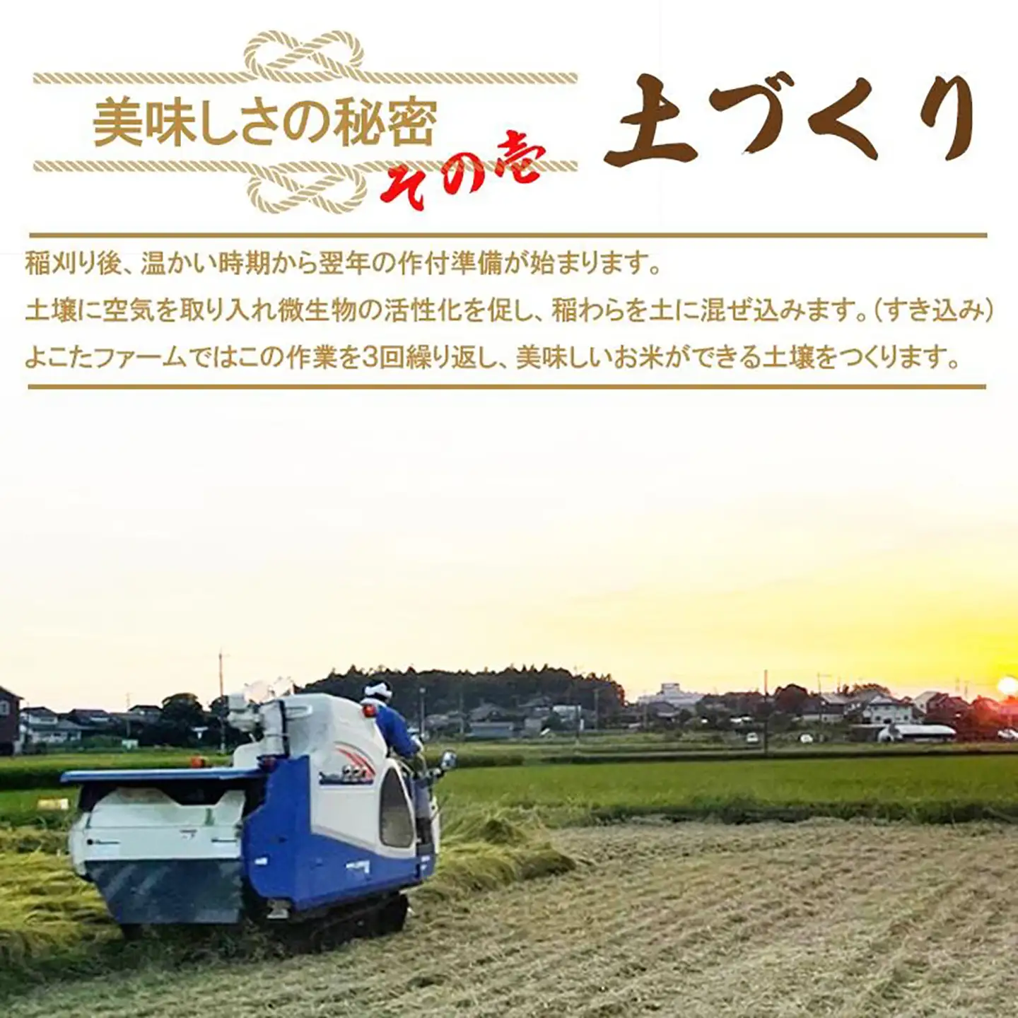 【9月上旬より順次発送】令和8年産 コシヒカリ 玄米 5kg 新米 こしひかり