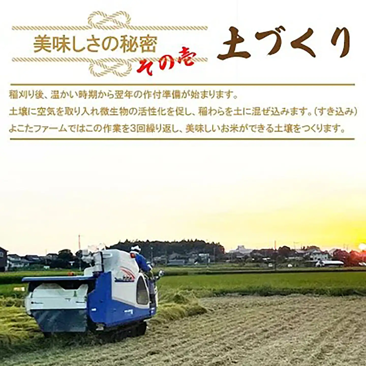 【9月上旬より順次発送】令和8年産 コシヒカリ 玄米 5kg 新米 こしひかり