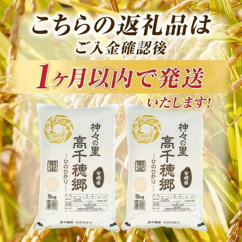 【令和7年産】JA高千穂地区 ひのひかり 5kg 高千穂産 5kg 1袋 食品 米 お米 白米 ごはん 白飯 精米 国産 宮崎県産 単一原料米 農作物 農産物 おすそ分け 普段使い 日常 炭水化物 主食 贈答 贈り物 ギフト プレゼント おすすめ 宮崎県 高千穂町 _Tk004-069