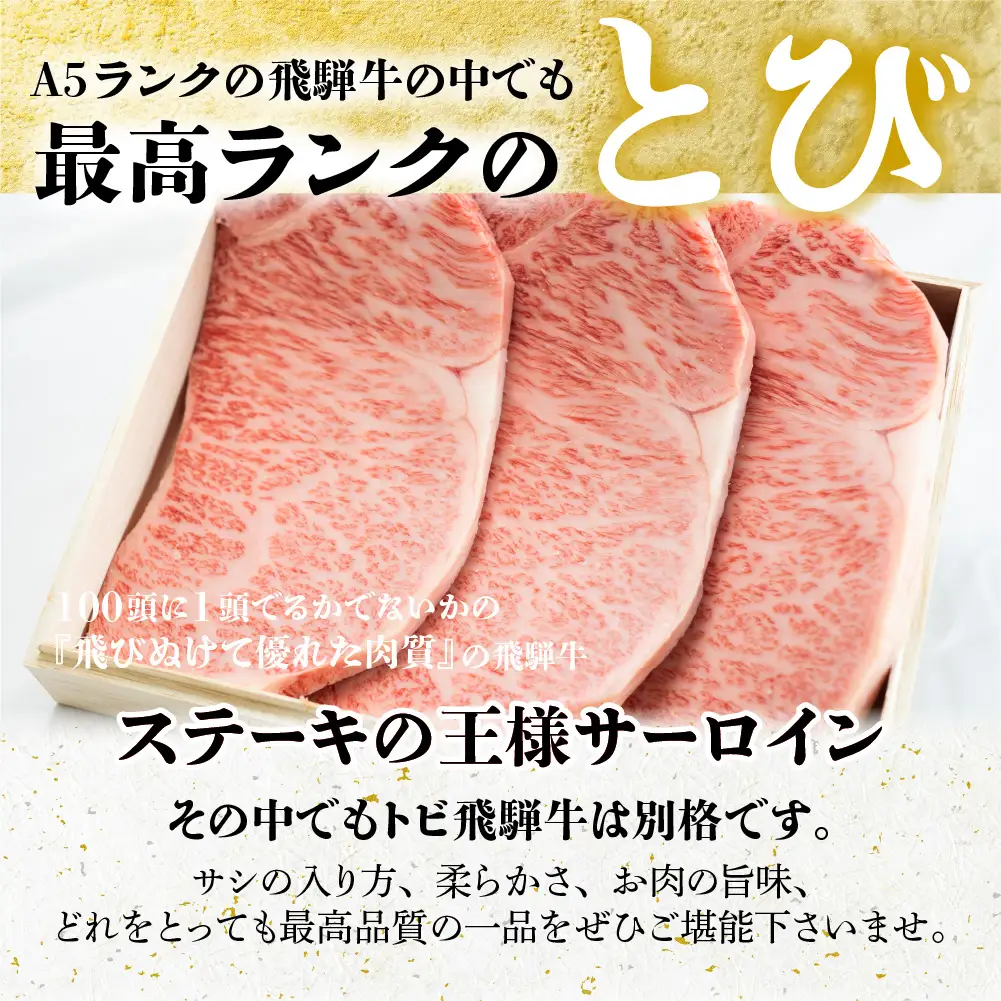 A5等級 飛騨牛 とび  ロース すき焼き/しゃぶしゃぶ  750g | 飛騨牛 BV025