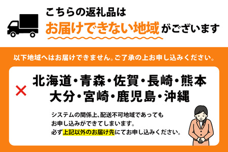 【期間限定発送】超甘！赤ガスエビ 冷蔵 800g