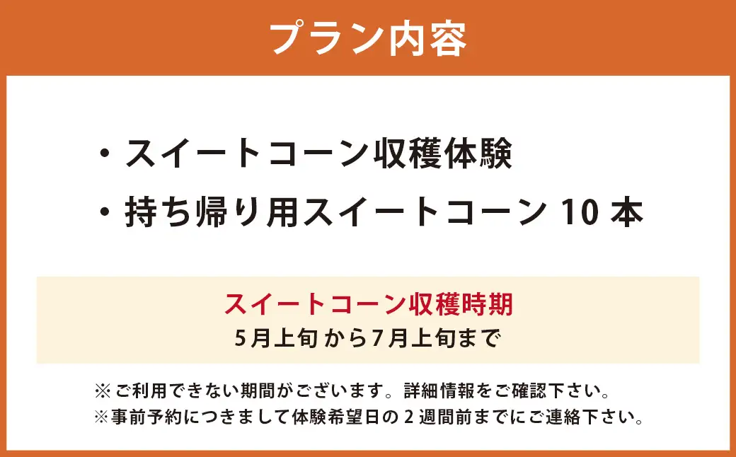 F4 アッキーファーム スイートコーン収穫体験 （スイートコーン10本込み） とうもろこし トウモロコシ 野菜 やさい 農作物 農業 体験 チケット 商品券 施設利用券 福岡県産 国産 福岡県 みやま市