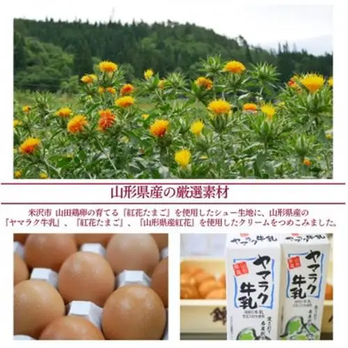 紅花たまごのシュークリーム10個入り【配送不可地域：離島】【1676249】