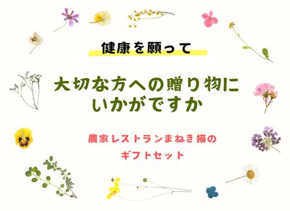 【一週間以内に発送】〈ギフト〉ジャム&ドレッシングセット【アグリCATS】_HA1847