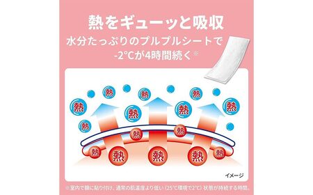 熱さまシート 赤ちゃん用 12枚×5箱セット【小林製薬】 発熱 暑さ対策に 無香料 無着色 弱酸性