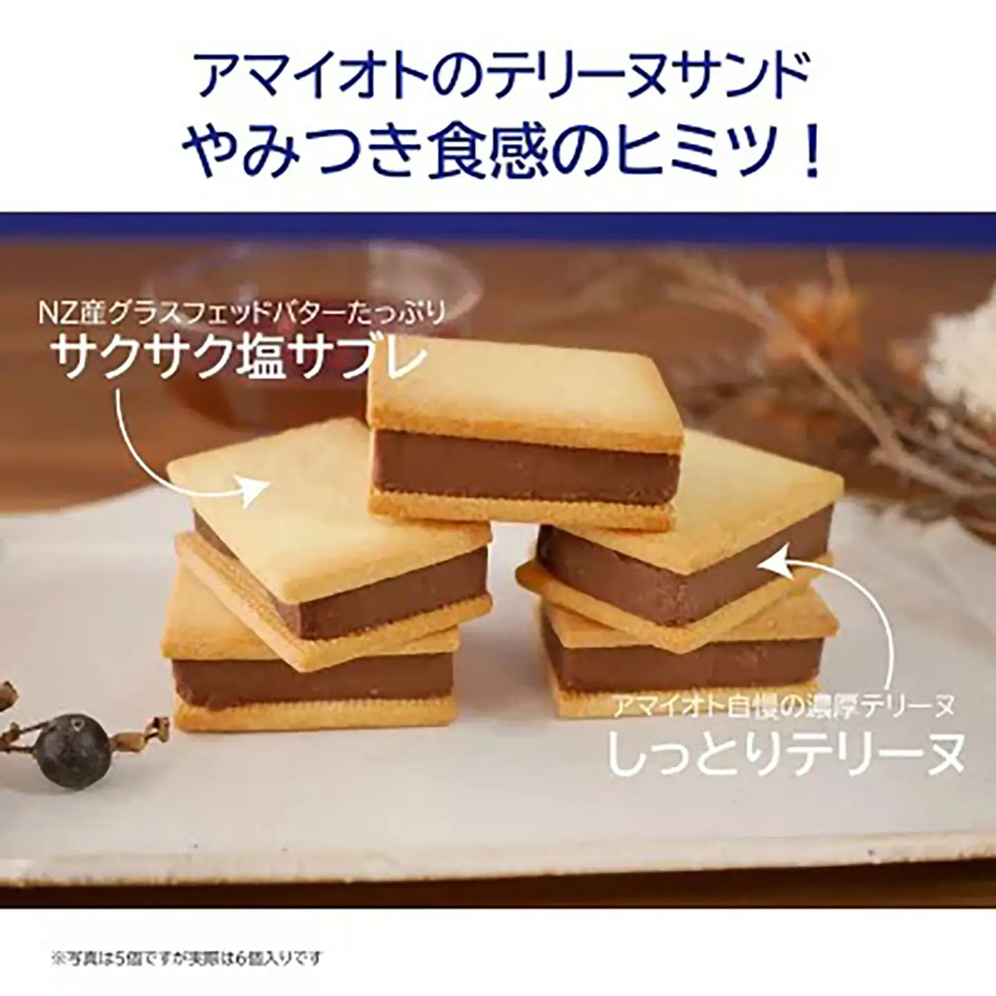 テリーヌ アマイオトの芳醇ショコラテリーヌサンド6個