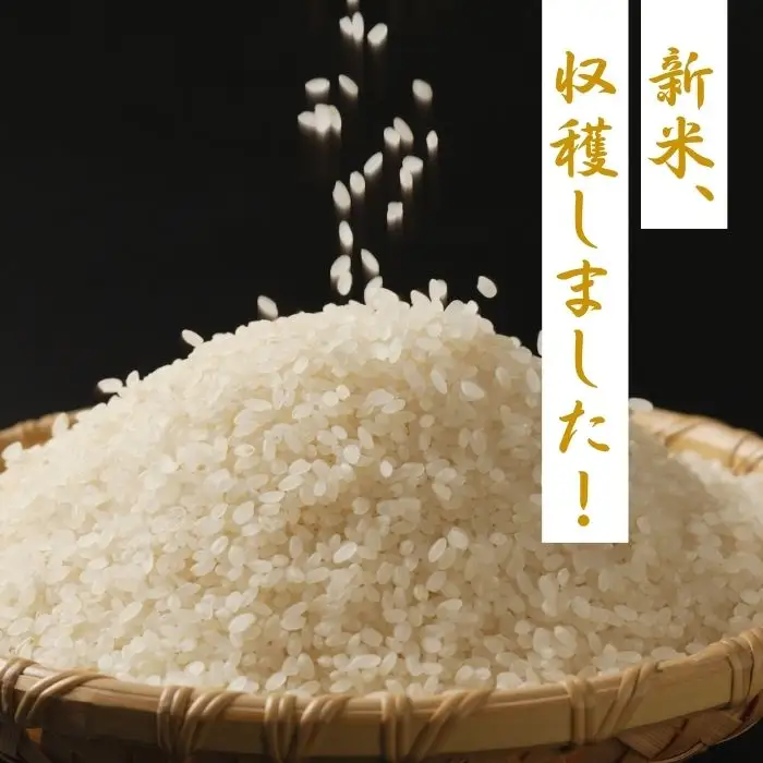 米 ヒノヒカリ10㎏(令和7年産) 白米【36-004】