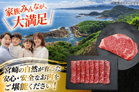 牛肉 宮崎牛 サーロインステーキ 200g ＆ 赤身 すき焼き肉 300g 計500g