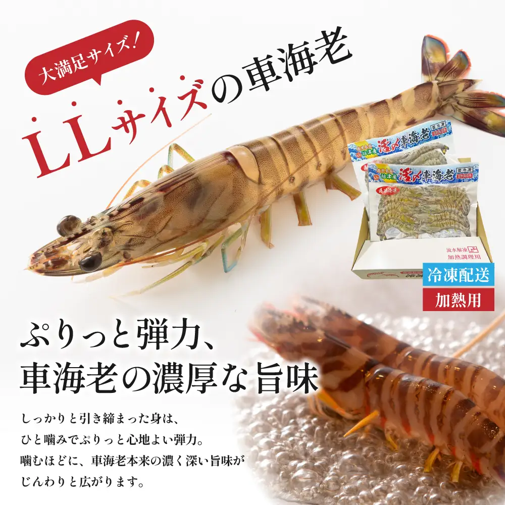 【鹿児島県産】冷凍 車海老 LLサイズ 600g （加熱用）車エビ 車えび くるまえび 海老 エビ えび 海の幸 海鮮 九州 国産 魚介 魚介類 真空パック 天ぷら エビフライ エビチリ 冷凍 南さつま市