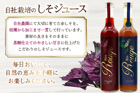 AJ307 感動の赤しそジュース 瓶 500ml 感動の青しそジュース 瓶 500ml