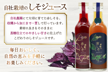 AJ310 感動の赤しそジュース 瓶 200ml 感動の青しそジュース 瓶 200ml 生姜シロップ 瓶 250ml 飲み比べセット