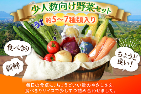 AJ313 野菜セット 5～7品目 しそジュース付き