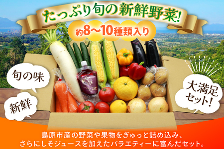 AJ314 季節の野菜・果物セット 8～10品 しそジュース付き