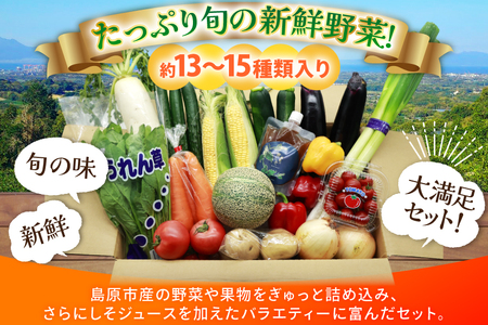 AJ315 季節の野菜・果物セット 13～15品 しそジュース付き