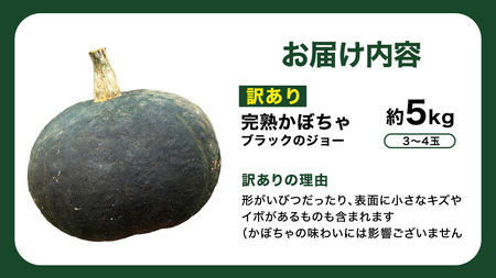 【 訳アリ 】完熟かぼちゃ ブラックのジョー 約5kg（3～4玉）