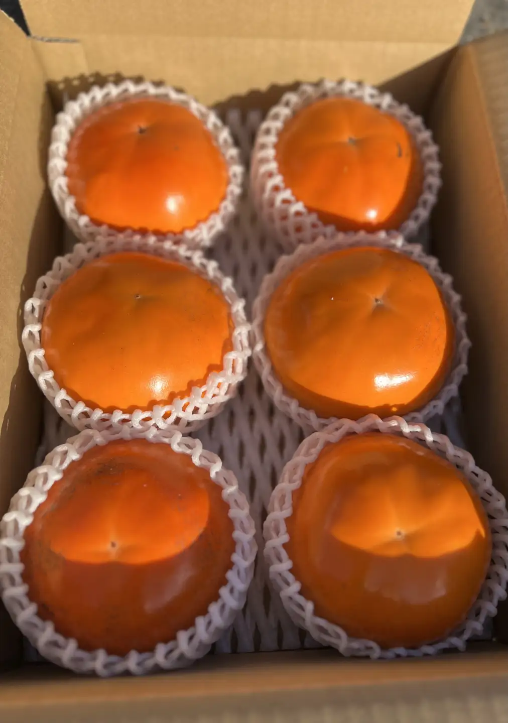 Y1057 鳥取県のブランド柿「輝太郎柿」 2kg