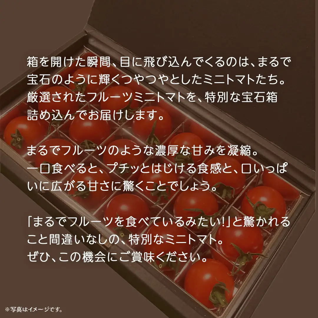 フルーツ ミニトマト の宝石箱 18粒 (茨城県共通返礼品：大子町) 野菜 フルーツ 旬 季節限定 期間限定