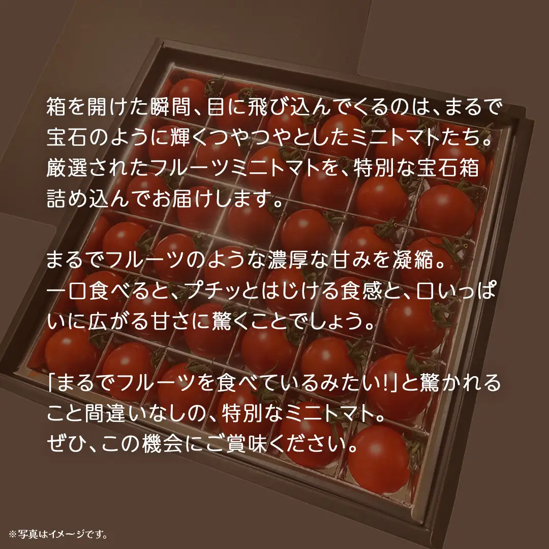 フルーツ ミニトマト の宝石箱 36粒 (茨城県共通返礼品：大子町) 野菜 フルーツ 旬 季節限定 期間限定