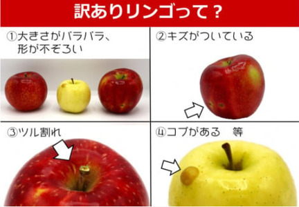 訳あり りんご 約 2.5kg ～約 3kg　( 品種おまかせ/ 予約受付11月発送開始）季節のりんご 旬のりんご 黒岩産直 岩手県 北上市 C0605R0808
