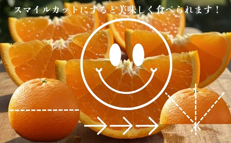 せとか 約1.5kg ご家庭用 サイズお任せ 今が旬 農園直送 みかん 人気 数量限定 先行予約 柑橘 蜜柑 ミカン 愛媛みかん かんきつ 国産 愛媛県
