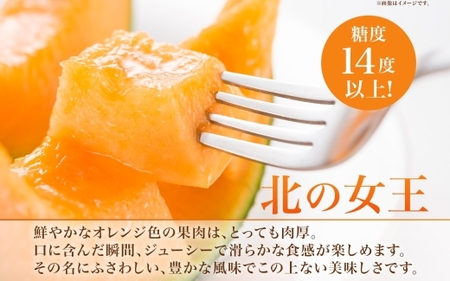 【2027年夏発送】北海道 赤肉メロン 北の女王 秀品 約1.6kg×1玉 令和9年 メロン 果物 フルーツ 旬 季節 希少 貴重 甘い 豊潤 国産 デザート ご褒美 産地直送 ギフト お祝い 贈答品 贈り物 お中元 常温 お取り寄せ 送料無料