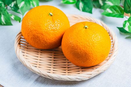 訳あり 紅甘夏 約 3kg | 甘夏