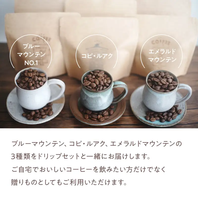 2747 【 全3回 定期便 】 【 焙煎 豆 】 ＜ 自家焙煎 珈琲屋さんが作る ちょっといい 珈琲 と ドリップ セット （ ブルーマウンテン ・ エメラルドマウンテン ・ コピルアク ） ＞ KN078-T03 コーヒー