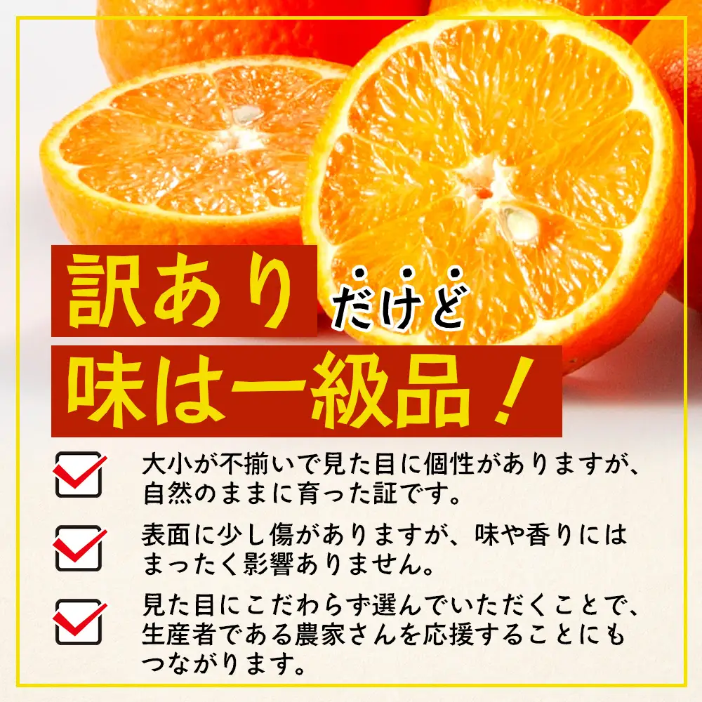 【訳あり】※先行予約・数量限定※ 南大隅の太陽浴びた甘くて・おいしい タンカン 約5kg≪2027年2月中旬以降順次発送≫ ID-3｜訳あり 訳アリ たんかん タンカン 柑橘 カンキツ 柑橘類 詰め合わせ 産地直送 先行予約 おすすめ 人気 南大隅町