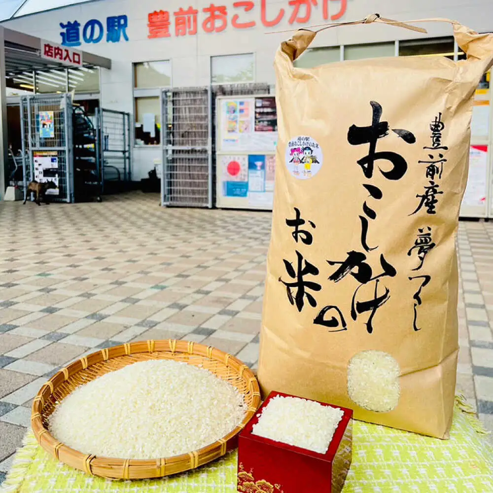 豊前市産 夢つくし 4.5kg VBQ031 米 白米 こめ お米 夢つくし