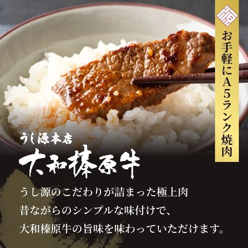 【ふるなびWEEK対象】(冷凍) 大和榛原牛 たれ漬け ／ 黒毛和牛 A5ランク 味付き 野菜炒め 時短レシピ 焼肉 BBQ バーベキュー キャンプ アウトドア 父の日 母の日 手土産 お中元 暑中見舞い お歳暮 正月 400g