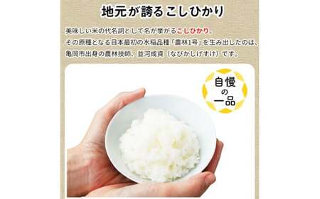 【12回定期便】コシヒカリ 10kg 定期便 精米 白米
