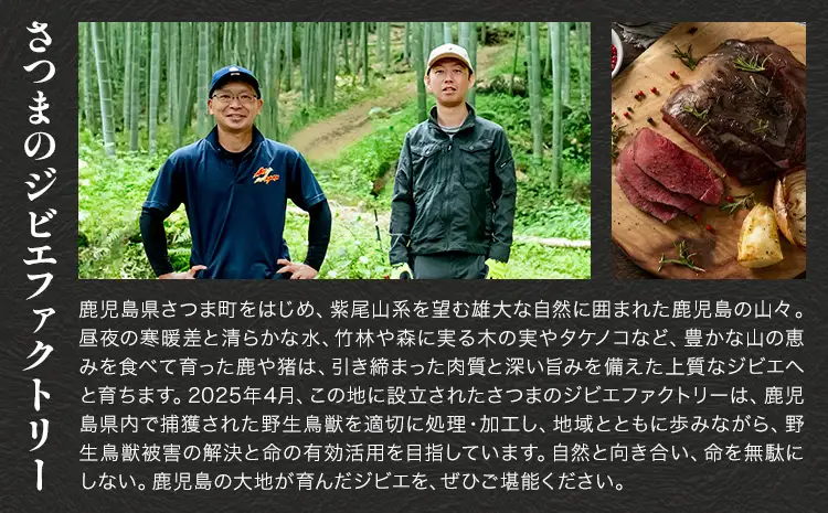 穴熊入りジビエ満喫セット 穴熊 猪 ロース 鹿 ミンチ 計約1.5kg ダブルビーゼット株式会社 (さつまのジビエファクトリー) 《90日以内に出荷予定(土日祝除く)》