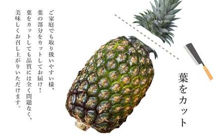 パイナップル ゴールドバレル TARUGO 約2kg（1玉） 家庭用