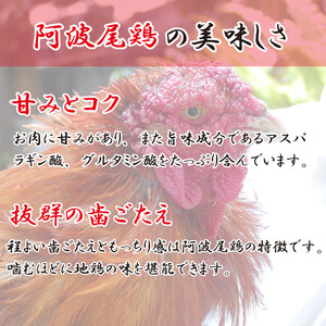 阿波尾鶏 鶏肉 照焼ローストチキン 1本（約600g）