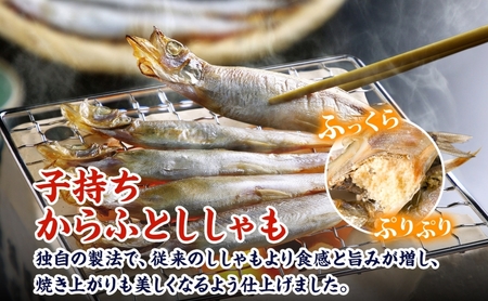 【ふるなびWEEK対象】子持ちからふとししゃも 約1.6kg(800g×2) 樺太 魚シシャモ メス おつまみ 魚貝類 干物 量販店 居酒屋 馴染み 人気 卵 詰まった 塩 味付け