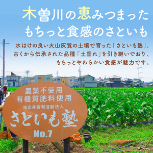 可児のおいしい里芋『さといも塾』2kg 【0011-002】