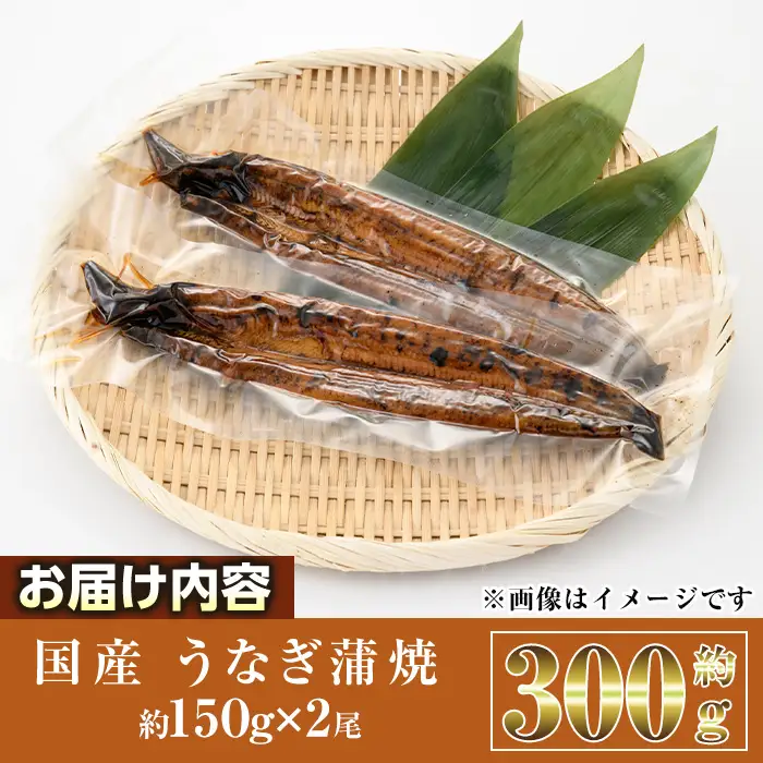 国産 うなぎ 蒲焼 (約150g×2尾) うな重 小分け  真空パック 【AW-92】【丸正水産】